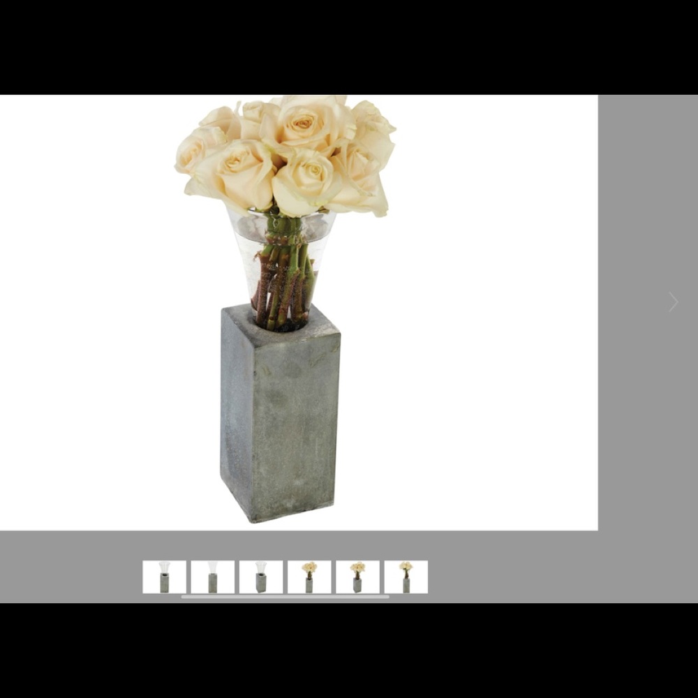 BN In Box AIDAN GRAY Zinc Vase